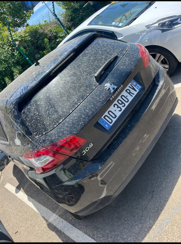 Rachat de voiture en panne moteur cassé Peugeot 308 avec paiement immédiat à Cannes dans les Alpes-Maritimes